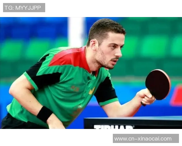 丹麦与奥地利激战正酣谁能在这场比赛中笑到最后