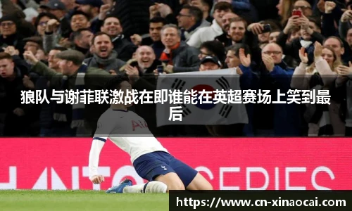 狼队与谢菲联激战在即谁能在英超赛场上笑到最后