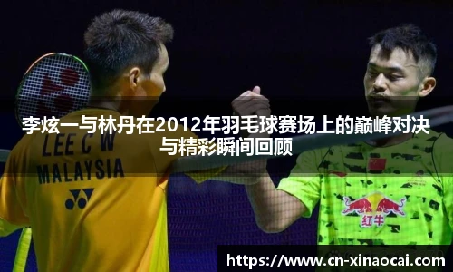 李炫一与林丹在2012年羽毛球赛场上的巅峰对决与精彩瞬间回顾