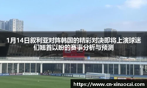 新澳彩24码
