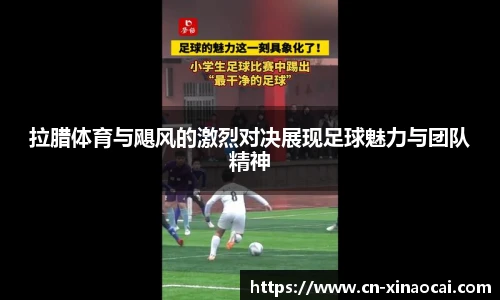 新澳彩24码