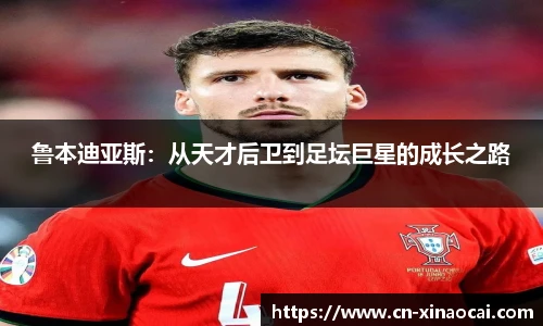新澳彩公式