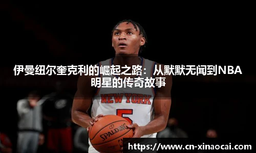 新澳彩公式