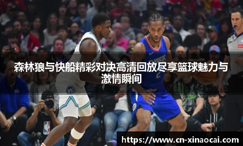 新澳彩公式